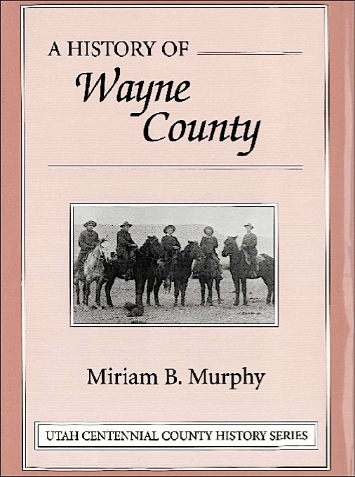 Title details for A History of Wayne County by Miriam B. Murphy - Available